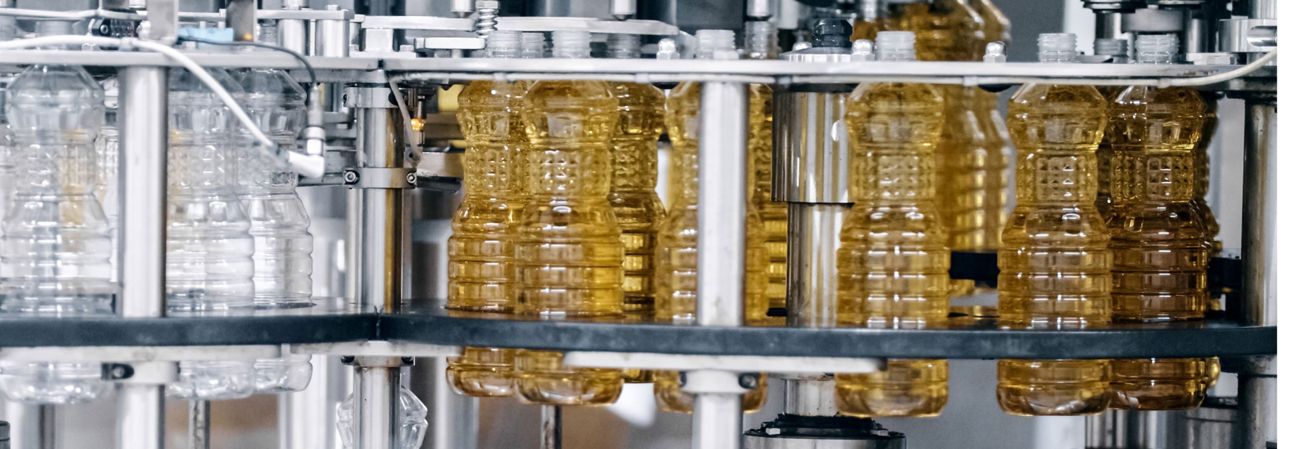 Oil bottles in production line
